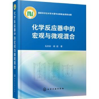 音像化学反应器中的宏观与微观混合(精)毛在砂,杨超