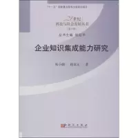 音像企业知识集成能力研究张小娣