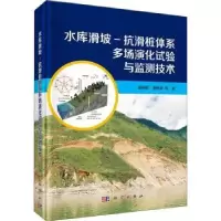 音像水库滑坡-抗滑桩体系多场演化试验与监测技术胡新丽//唐辉明