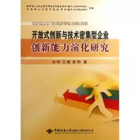 音像开放式创新与技术密集型企业创新能力演化研究刘玮