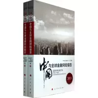 音像中国与全球金融风险报告叶永刚 等