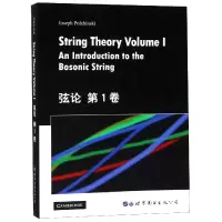 音像弦论(卷)(英文版)(美)J.波钦斯基