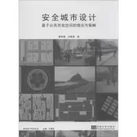 音像安全城市设计蔡凯臻,王建国