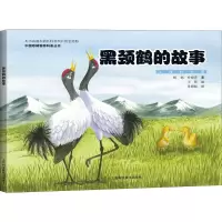 音像黑颈鹤的故事杨帆,叶晓青