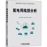 音像配电网线损分析郝建成