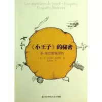 音像<小王子>的秘密(法)佩里耶