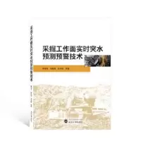 音像采掘工作面实时突水预测预警技术傅崑岚,徐智敏,段中稳