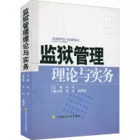 音像监狱管理理论与实务孙平 编