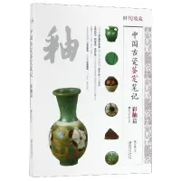音像中国古瓷鉴定笔记(彩釉篇)/时代收藏姚江波