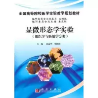 音像显微形态学实验:组织学与胚胎学分册屈丽华,罗红梅主编