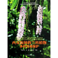 音像西双版纳的兰科植物多样和保护高江云 余莉