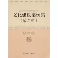 音像文化建设案例集:第二辑祁述裕,窦维平