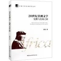 音像20世纪非洲文学 觉醒与发展之路夏艳