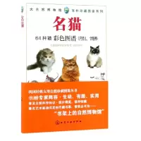 音像名猫/大自然博物馆百科珍藏图鉴系列编者:大自然博物馆编委会