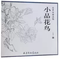 音像小品花鸟(实用白描画稿)绘画:王金才