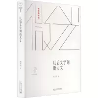 音像从后文学到新人文刘大先