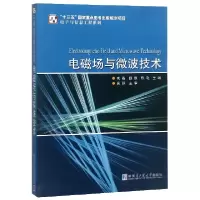 音像电磁场与微波技术/与信息工程系列编者:朱磊//题原//陈晚