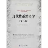 音像现代货币经济学盛松成
