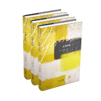 音像尤利西斯(共3册)(爱尔兰)詹姆斯·乔伊斯|译者:萧乾//文洁若