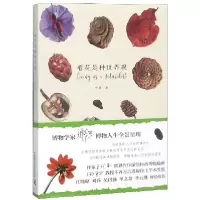 音像看花是种世界观半夏