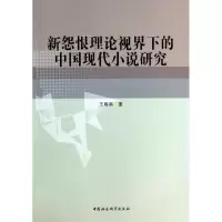 音像新怨恨理论视界下的中国现代小说研究王明科