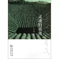 音像灵魂的居所刘华