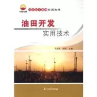 音像油田开发实用技术于宝新,陈刚主编