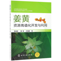 音像姜黄资源高值化开发与利用李湘洲//周军//旷春桃