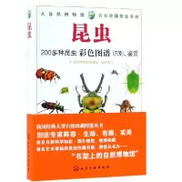 音像昆虫/大自然博物馆百科珍藏图鉴系列编者:大自然博物馆编委会