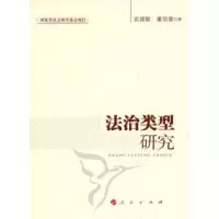 音像法治类型研究武建敏,董佰壹著