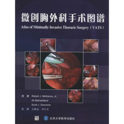 音像微创胸外科手术图谱Robert J.McKenna,Jr.