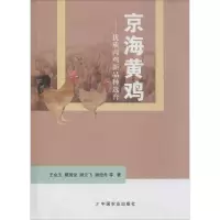 音像京海黄鸡王金玉