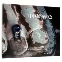 音像中国的颜色(精)编者:(法)尚陆|摄影:(法)布鲁诺·巴贝