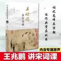 音像王兆鹏讲宋词课王兆鹏