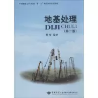 音像地基处理(第2版)林彤