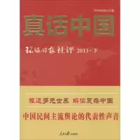 音像真话中国2013环球时报社