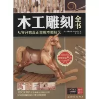 音像木工雕刻全书埃弗雷特·爱伦伍德