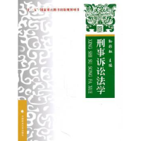 音像刑事诉讼法学:理论·实务·案例孙主编