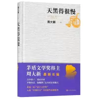 音像天黑得很慢(精)周大新