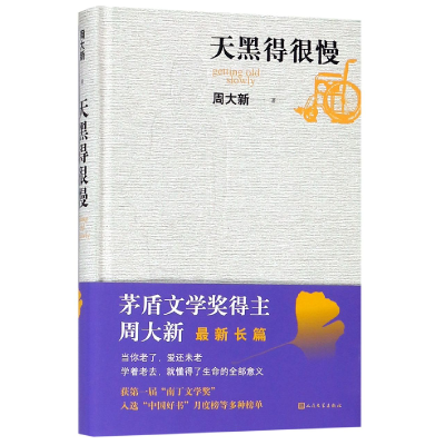 音像天黑得很慢(精)周大新