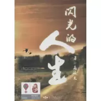 音像闪光的人生高致大