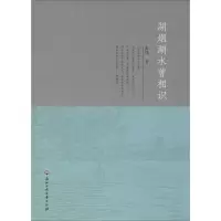 音像湖烟湖水曾相识朱炜