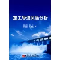 音像施工导流风险分析胡志根[等]著