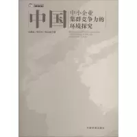 音像中国中小企业集群竞争力的环境探究任熹真