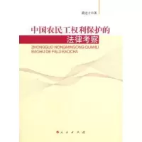 音像中国农民工权利保护的法律考察黄进才著