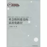 音像社会组织建设的法治化路径王利军