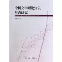 音像中国文学理论知识形态研究权雅宁