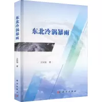 音像东北冷涡暴雨王东海