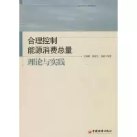 音像合理控制能源消费总量王仲颖