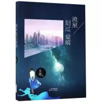 音像流星划过爱痕吴静
